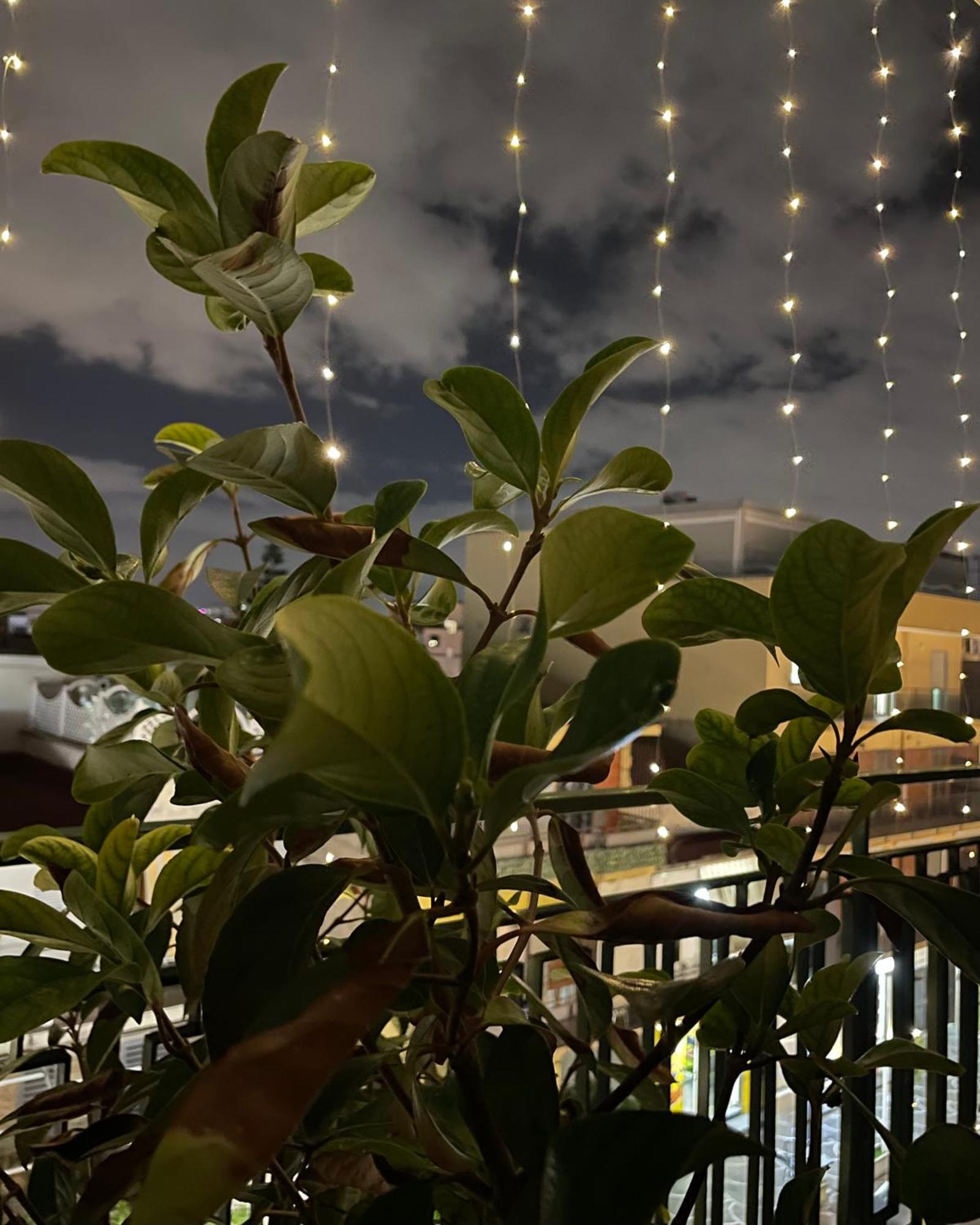B&B D'Aponte Home 볼라 외부 사진